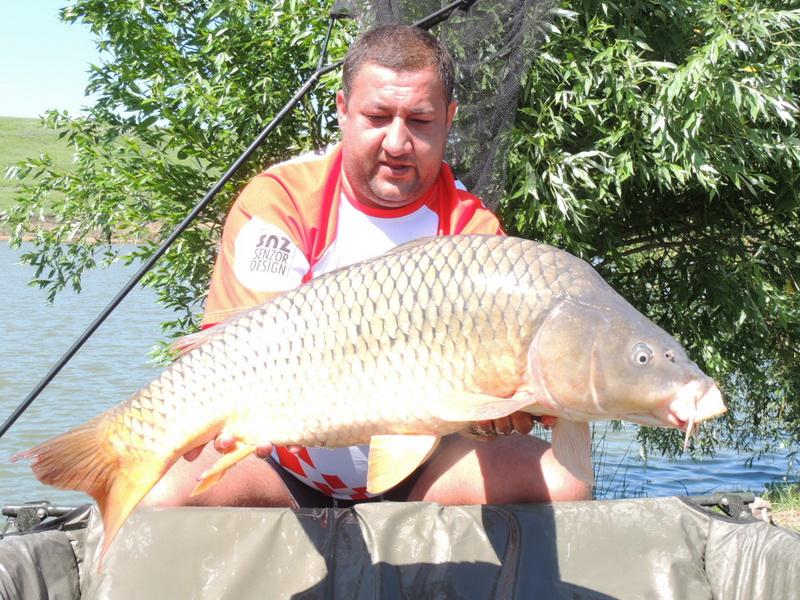 TROPHY CARP OF PRINTERS - pescuit-crap-snz-planet-sulimanu-captura-7.jpg
